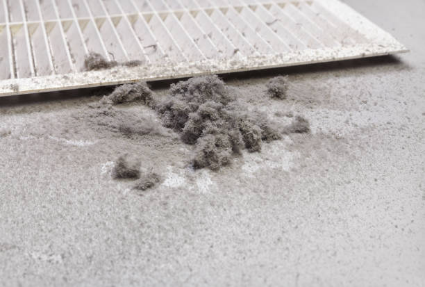 Best General Air Duct Cleaning  in Williamsburg, PA